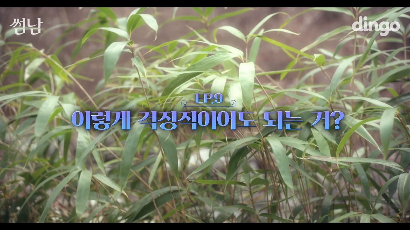 The Boy Next Door (2017) Episodio 9 thumbnail