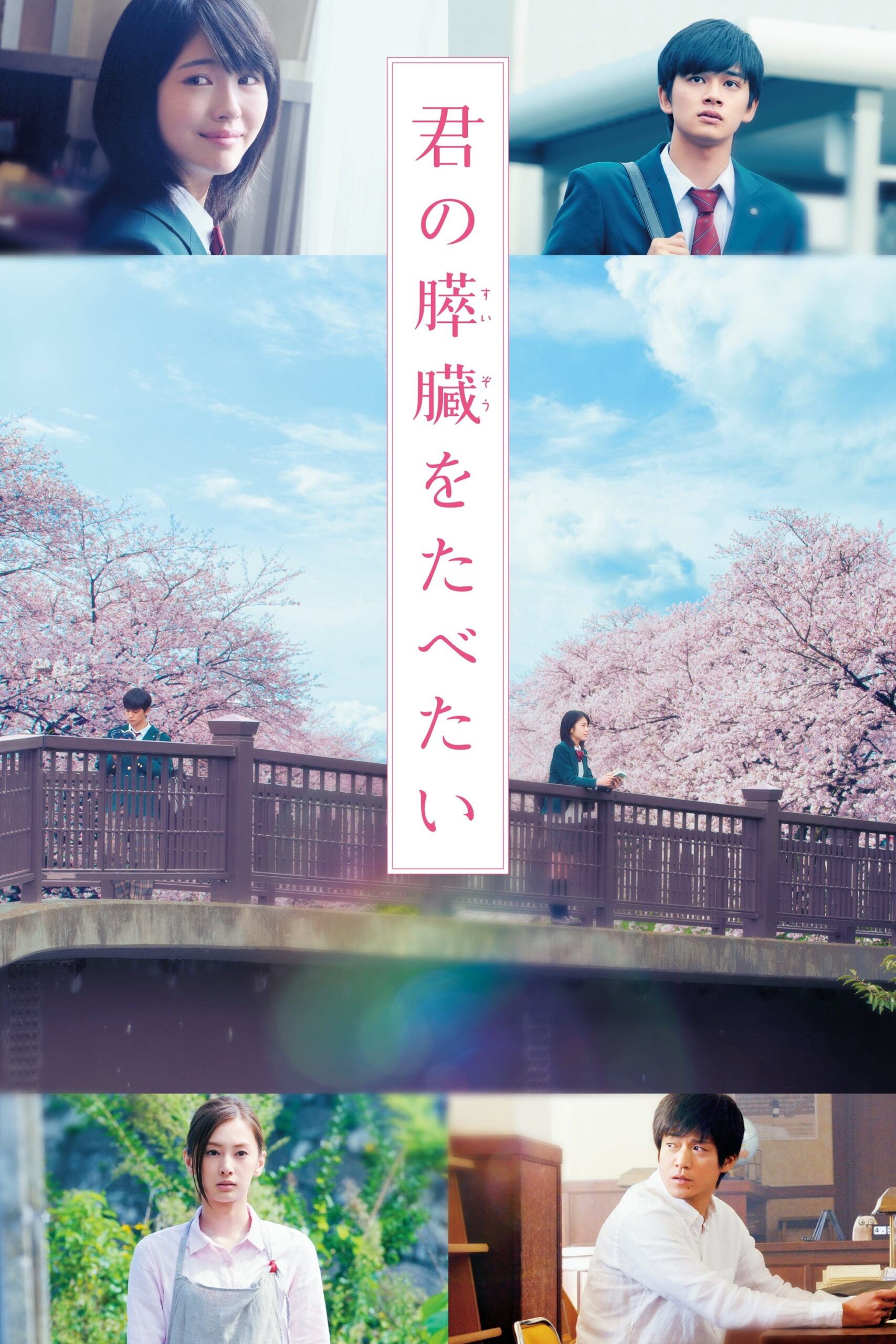 Let Me Eat Your Pancreas/I Want to Eat Your Pancreas (2017) thumbnail