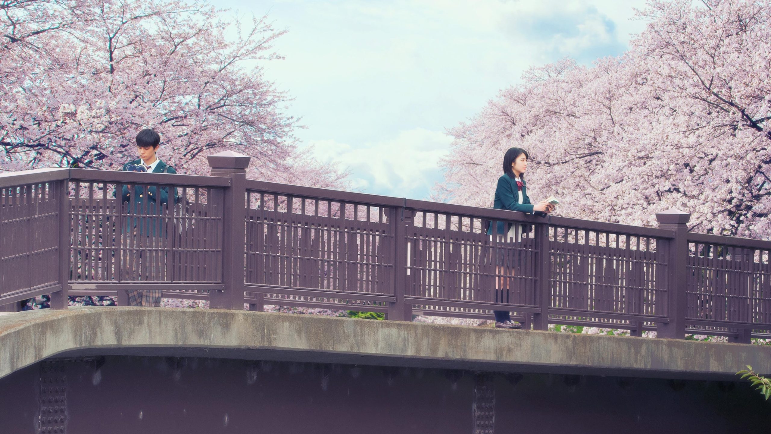 Let Me Eat Your Pancreas Movie thumbnail