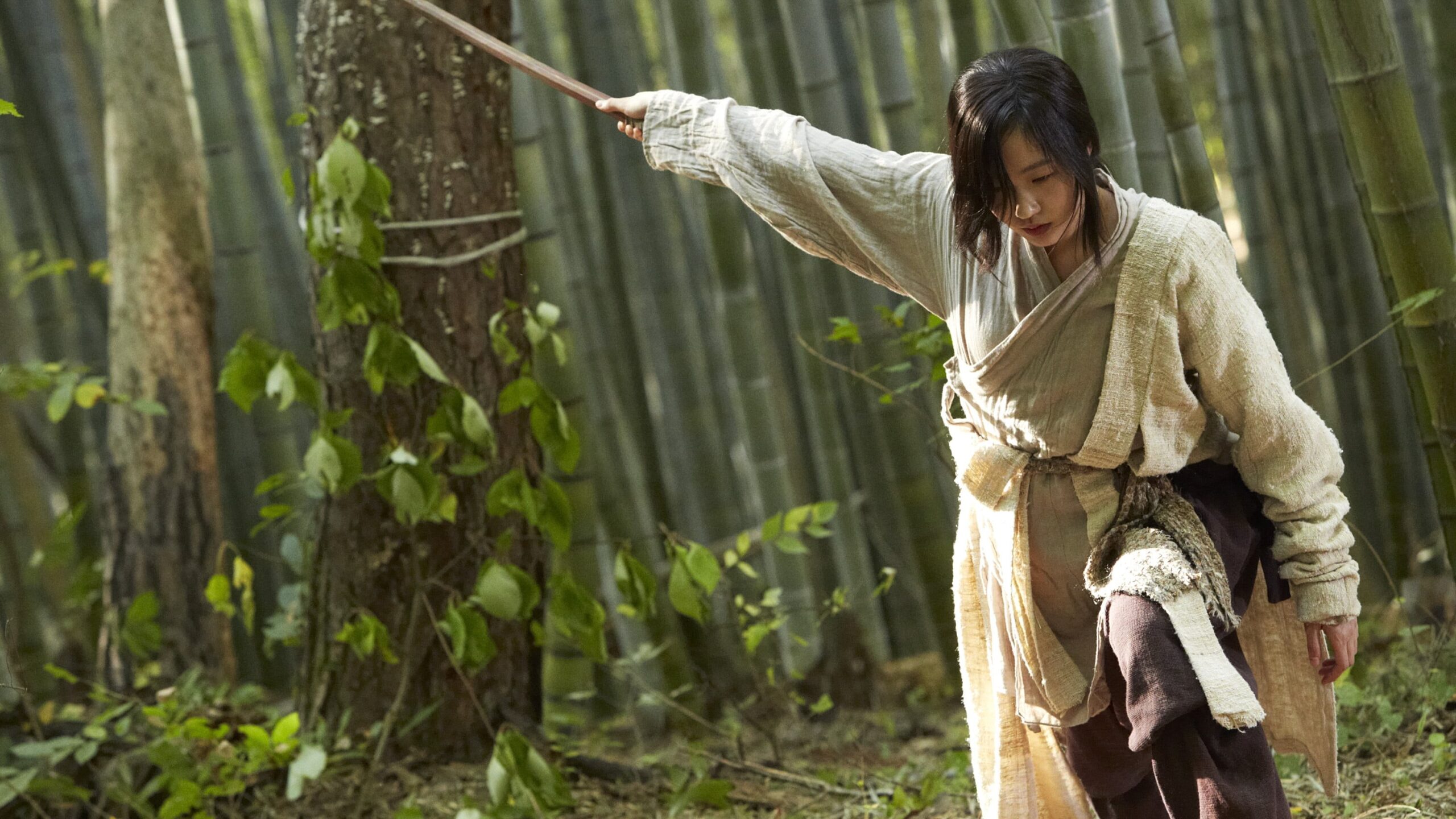 Memories of the Sword Movie thumbnail