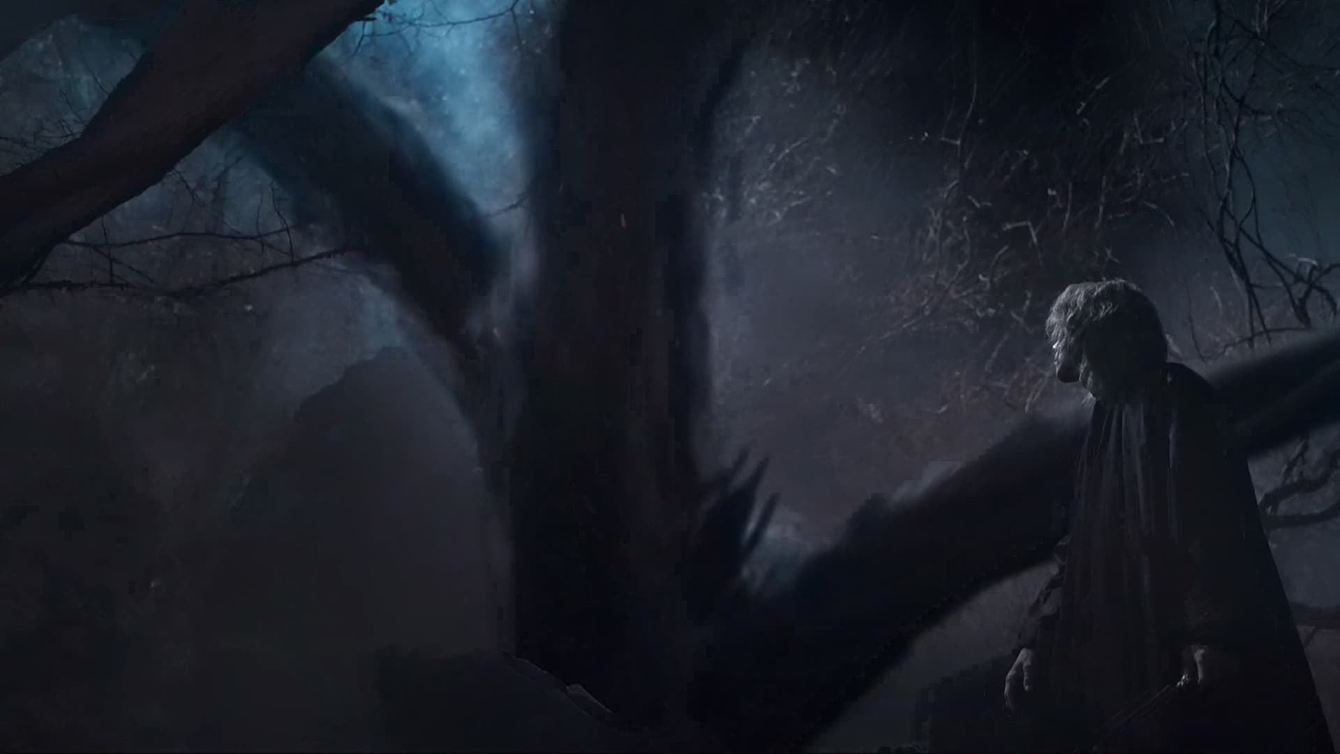 Island (2022) Episodio 5 thumbnail