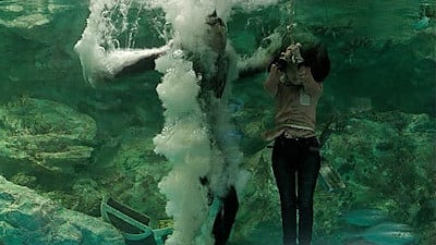 City Hunter (2011) Episodio 18 thumbnail