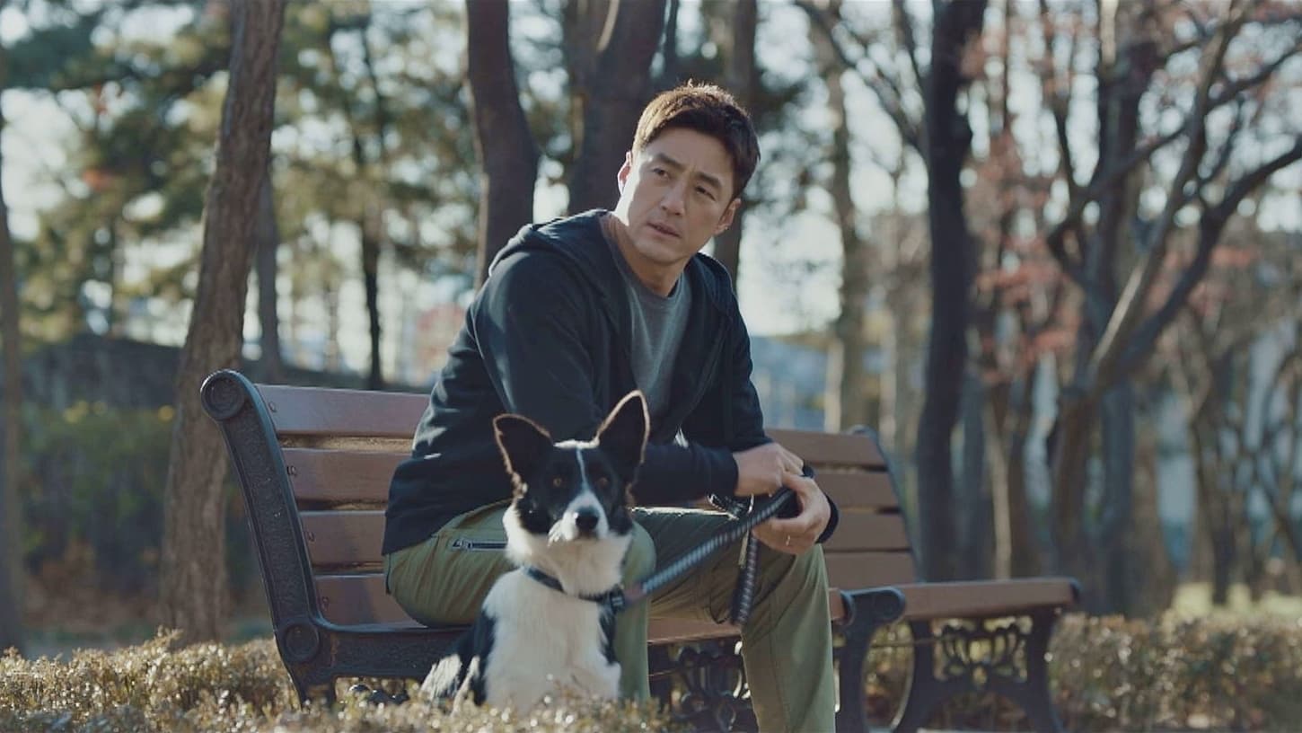 Undercover (2021) Episodio 13 thumbnail
