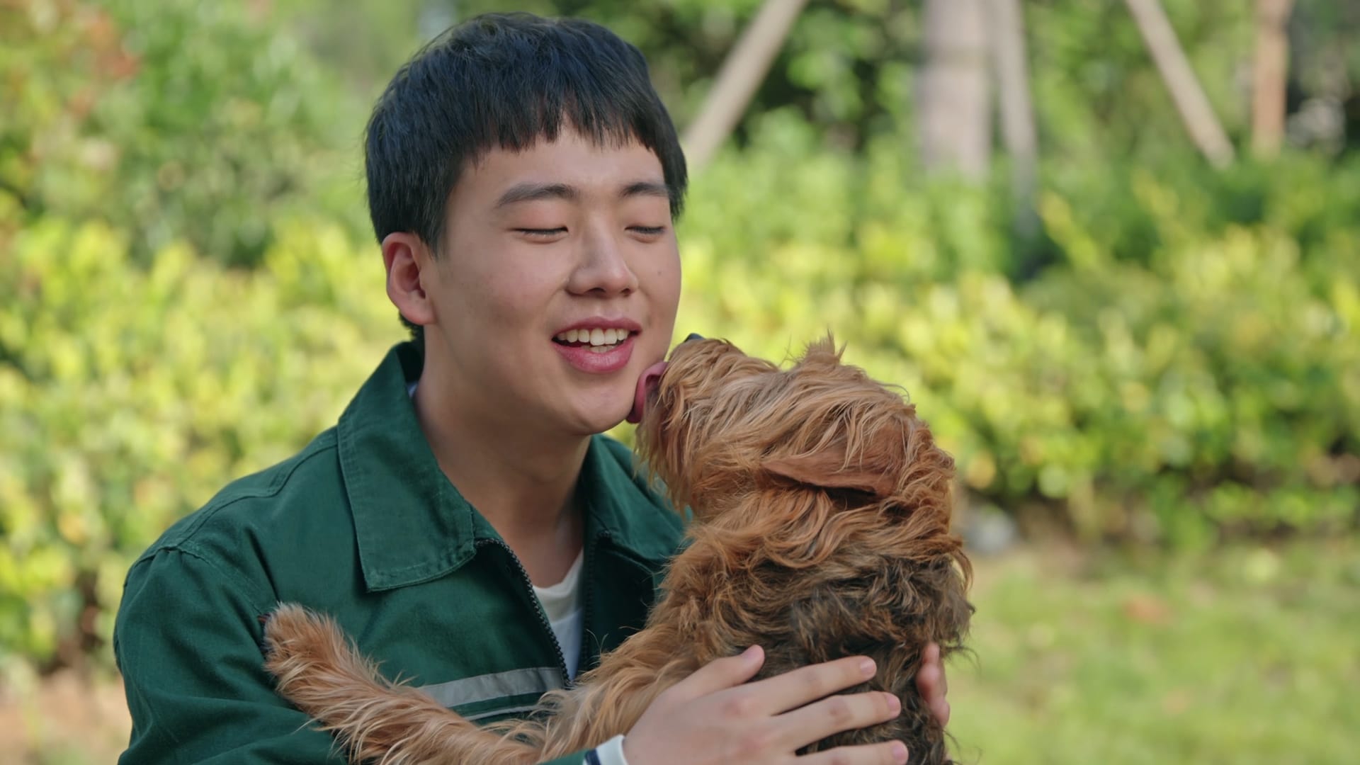 Adoring Movie thumbnail