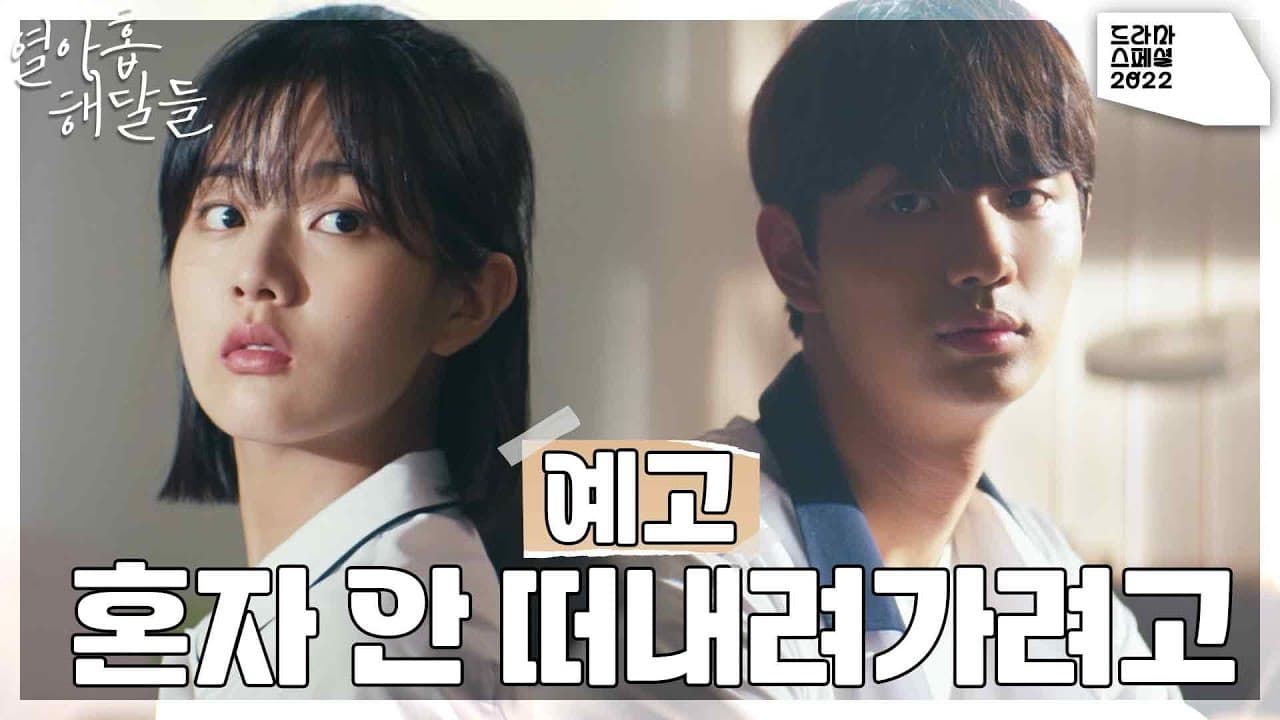 Drama Special Season 13: Nineteen Otters Movie thumbnail