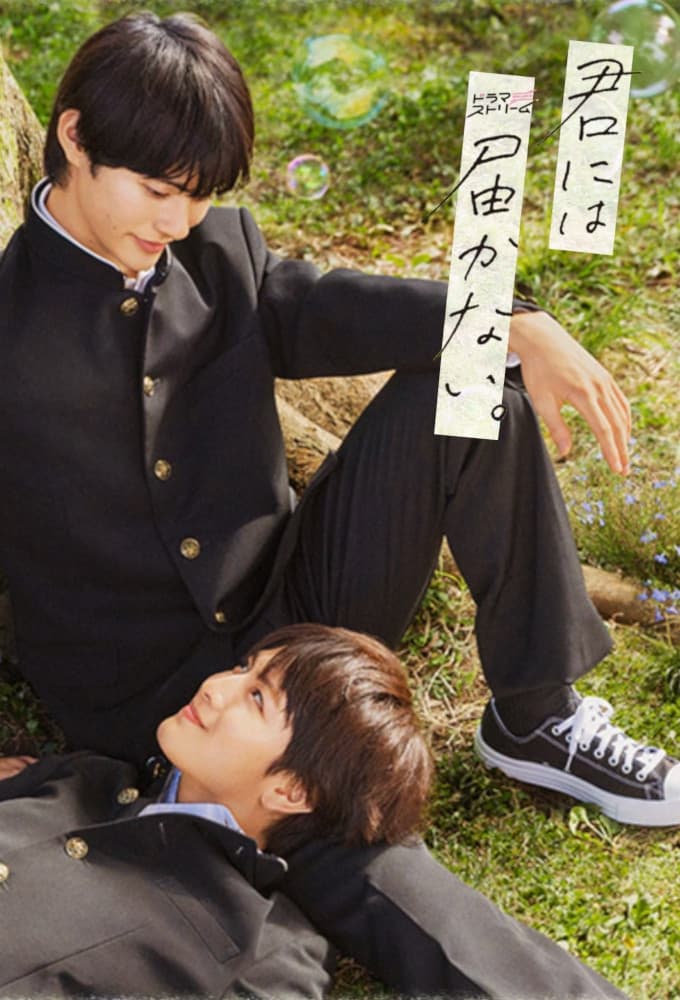 Kimi ni wa Todokanai. (2023) thumbnail
