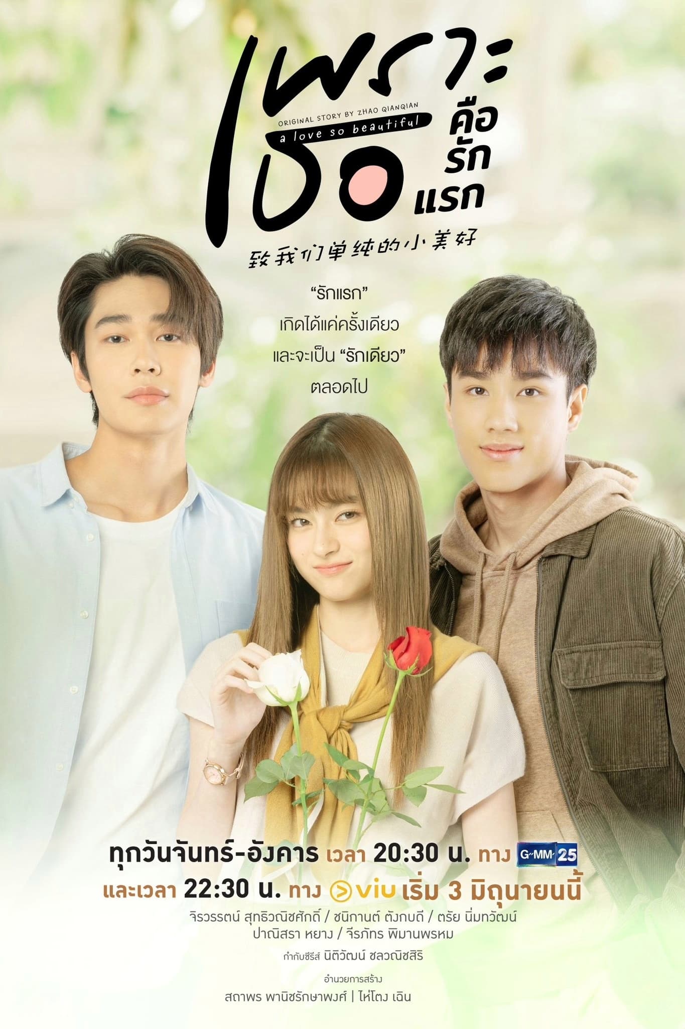 A Love So Beautiful (2024) thumbnail