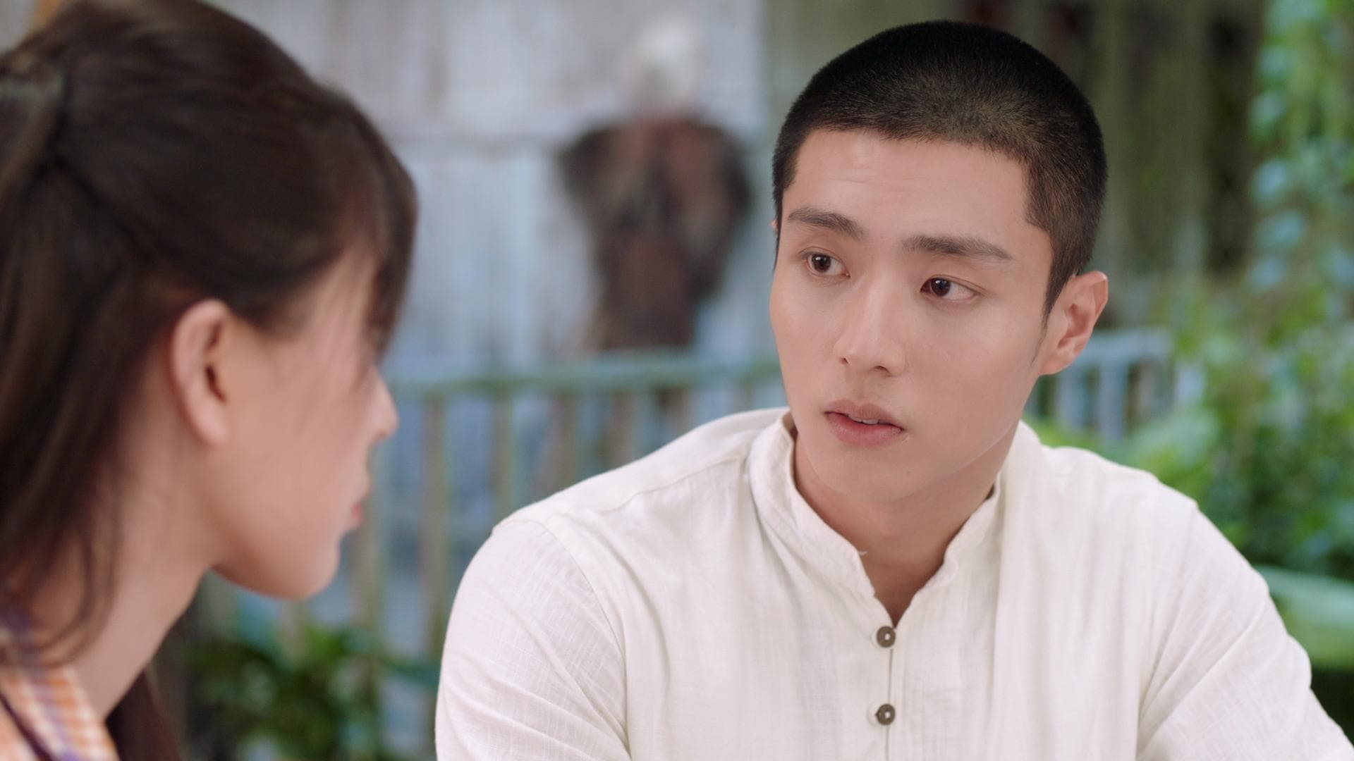 Dear Mr Hermitage (2023) Episodio 13 thumbnail